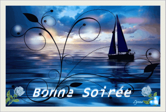 http://c.imdoc.fr/1/divers/bonne-soiree/photo/4808239480/19928157fbd/bonne-soiree-bonne-soiree-bateau-img.gif