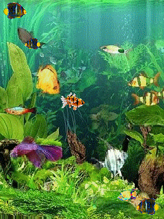 images-pri​vees-aquar​ium-87018-​img